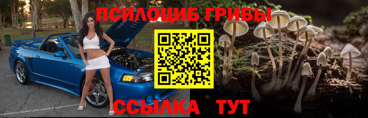 Галлюциногенные грибы Psilocybine cubensis Строитель