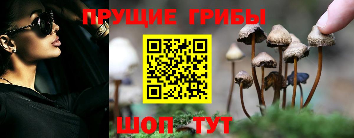 Строитель  Псилоцибиновые грибы MAGIC MUSHROOMS  где можно купить   Вход с VPN 